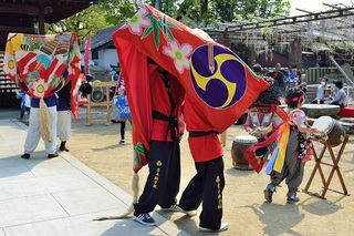 19藤まつりC_028A.jpg