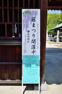 19藤まつりa_024x.jpg