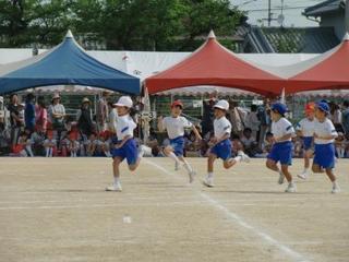 CIMG0481.JPG