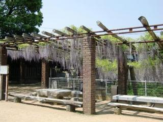 CIMG5055.JPG