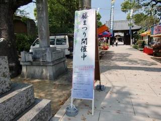 CIMG6861.JPG