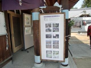 CIMG6878.JPG