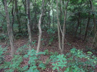 DSC01432.JPG