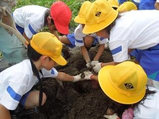 DSCN7889.JPG