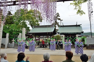 藤まつりf_004a.jpg