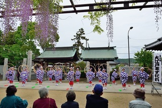 藤まつりf_013a.jpg