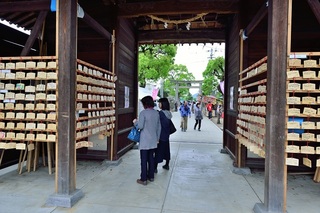 藤まつりg_035.jpg