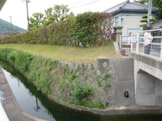 IMG_1120.JPG