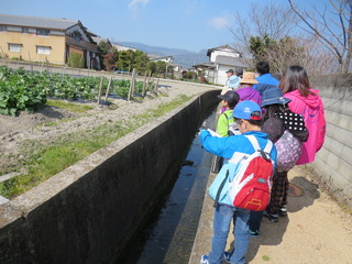 IMG_1195.JPG