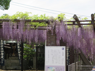 IMG_1572.JPG