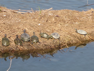 IMG_1715.JPG