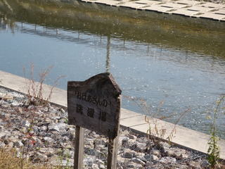 IMG_1728.JPG