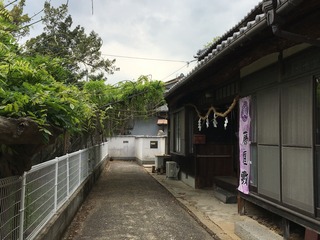 R3.4.30藤A.jpeg