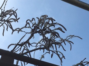 image1.jpeg