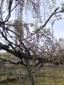 image14.jpeg