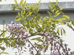 image1421-2.jpeg