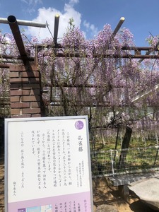 image17.jpeg