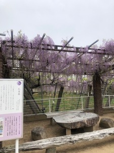 image18.jpeg