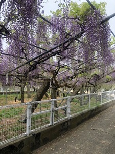 image19.jpeg