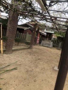 image20.jpeg