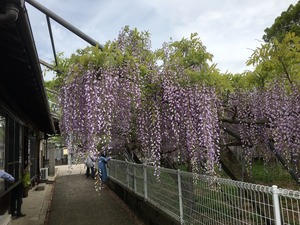 image22.jpeg