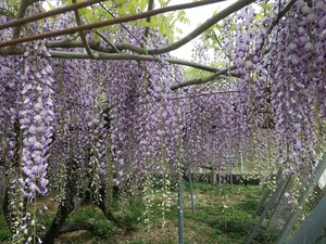 image23.jpeg