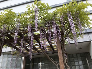 image24.jpeg