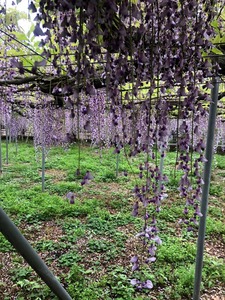 image25.jpeg