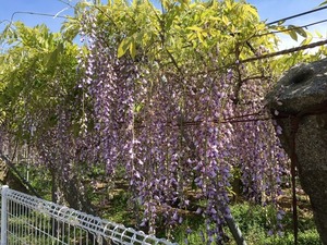 image26.jpeg