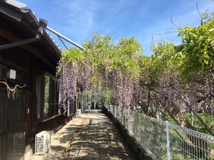 image27.jpeg