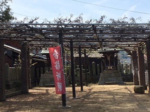 image4.jpeg