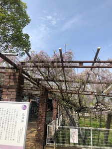 image418-4.jpeg