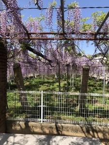 image421-1.jpeg