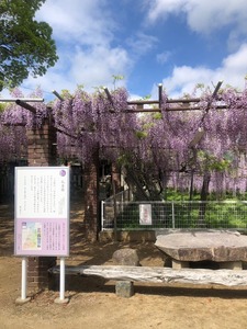 image424-2.jpeg