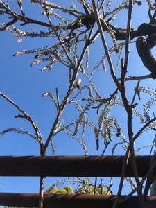 image7.jpeg